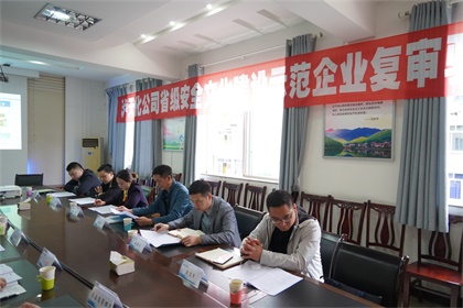 瀘天化安全文化示范企業(yè)復(fù)評(píng)驗(yàn)收 (5).JPG