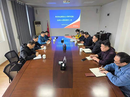 瀘天化股份公司紀(jì)委書記陳偉帶隊到弘潤公司開展專項督導(dǎo)檢查